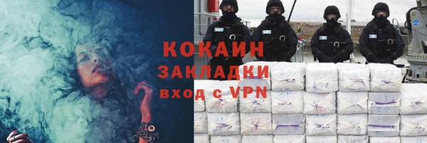 шишки Киренск