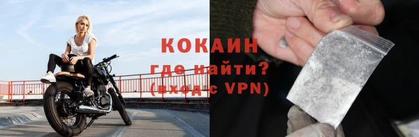 шишки Киренск