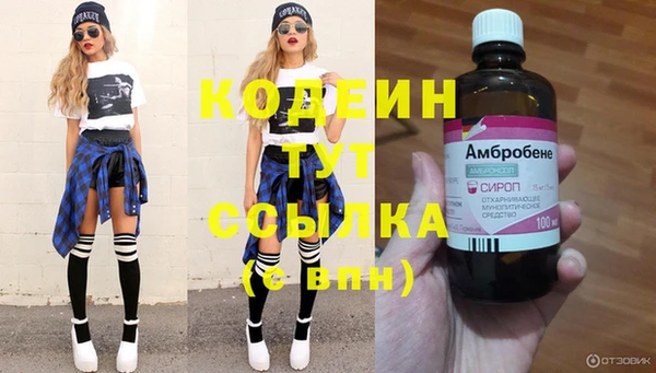 шишки Киренск