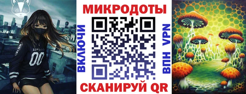 Купить  Абакан  Галлюциногенные грибы Psilocybe 